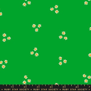 Flowerland By Melody Miller of Ruby Star Society for Moda, 100% Premium Cotton Fabric, By the Metre, Half Metre, Fat Quarter