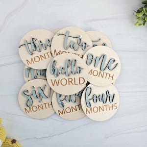 Cartes en bois pour bébés, jalons mensuels, disques 3D pour photos de bébé, panneaux gravés pour bébés, jalons importants pour bébé, cadeau souvenir pour nouveau-né