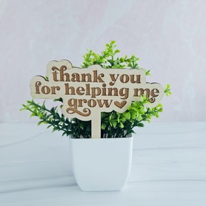 Geschenk für den Lehrer, danke, dass Sie mir geholfen haben, den Pflanzeneinsatz zu vergrößern