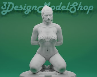 Rey Skywalker NSFW STL Model File