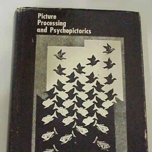 Bildverarbeitung und Psychopictorik; Bildliches Muster Parzeption