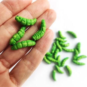Handcrafted caterpillars, Wingspan food token, Board game pieces, Resource tokens, Game components, Upgrade tokens, Boardgame bits