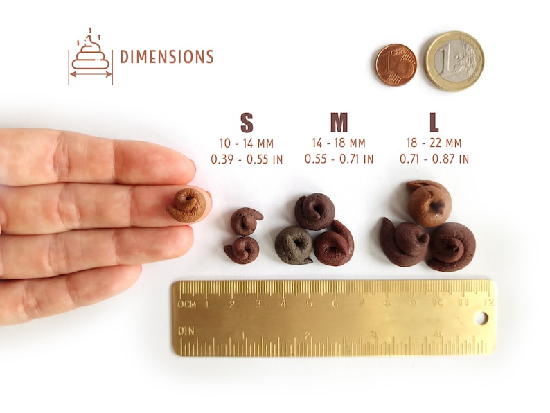 Miniature Realistic Fake Poop Tokens. for Fun, Gaming or Gag Gifts. - Etsy