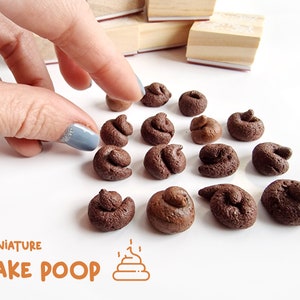 Miniature realistic fake poop tokens. For fun, gaming or gag gifts.