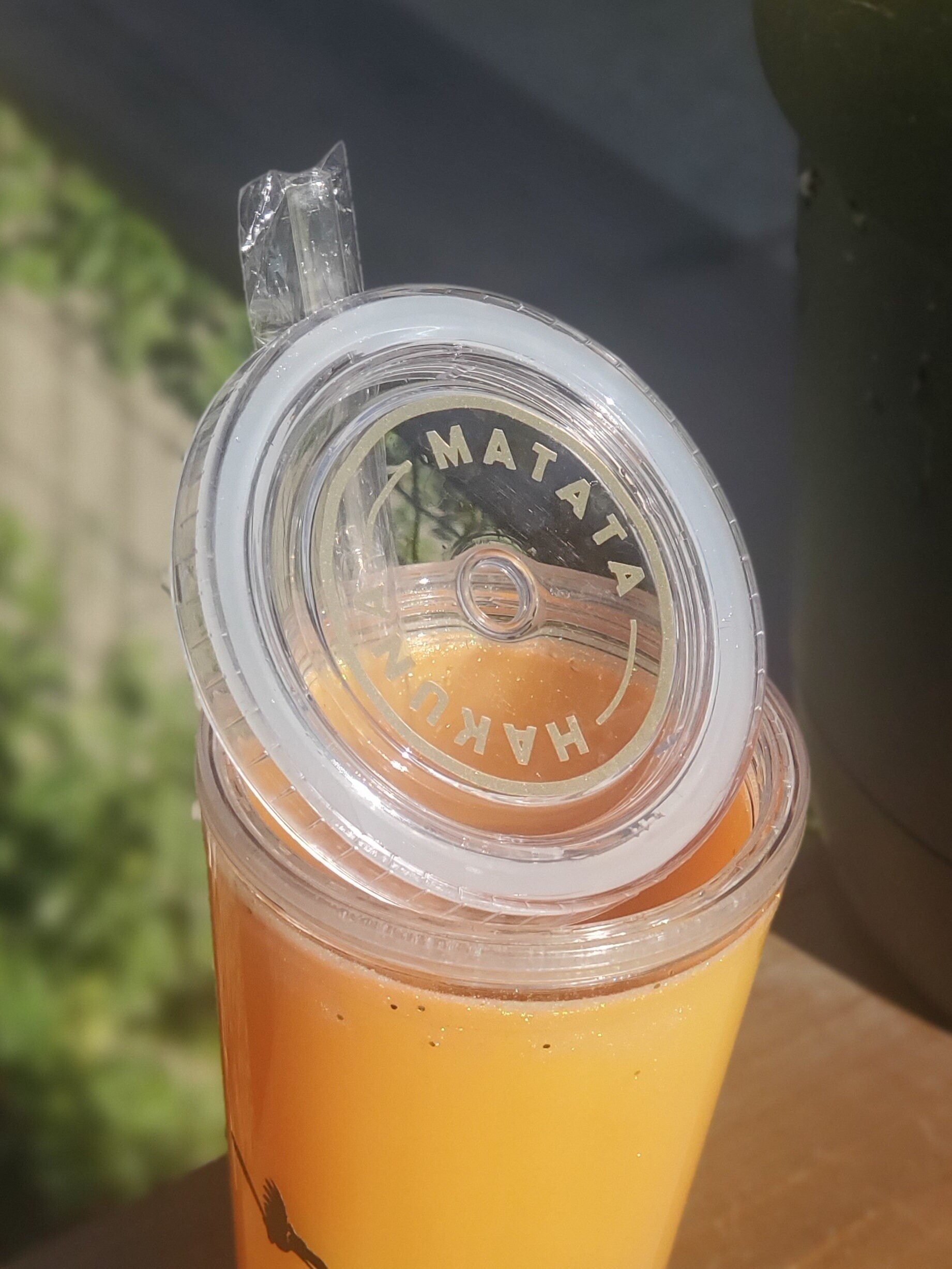 Lion King Color Changing Tumbler Etsy