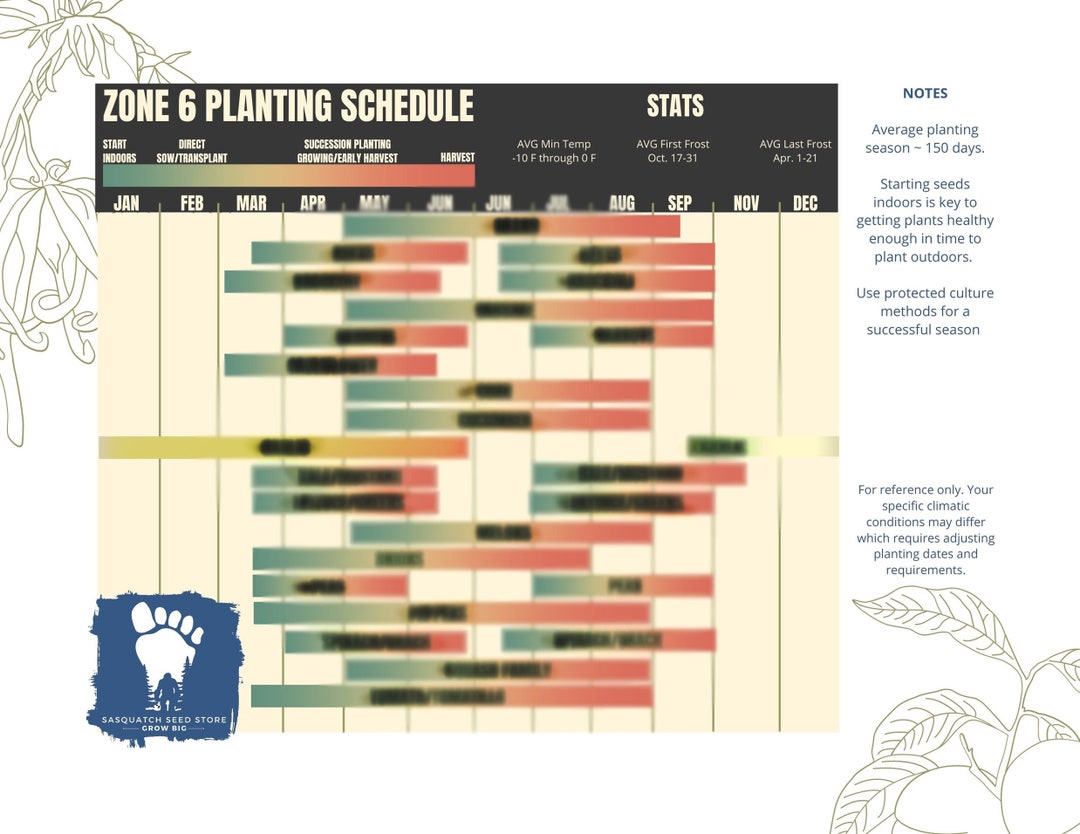 ZONE 6 PLANTING GUIDE. Digital Download. Perfect Reference. Etsy