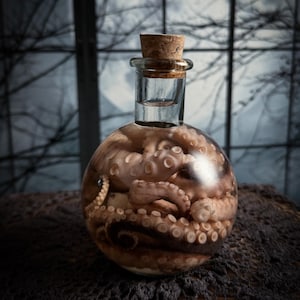 Octopus Tentacle Apothecary Potion Bottle | Real Wet Specimen Taxidermy | Curiosity Display