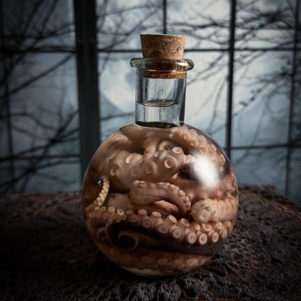 Botella de poción de boticario con tentáculo de pulpo / Taxidermia de ejemplares húmedos reales / Exhibición de curiosidades