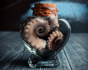 Mini Octopus Tentacle Wet Specimen Heart Bottle - Real Taxidermy - Valentine's Day Curiosity Jar