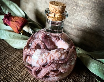 Octopus Tentacle Apothecary Bottle - Real Wet Specimen Taxidermy - Curiosity Bottle