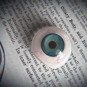 Prosthetic Eyeball | Acrylic Human Fake Eye Medical Oddity Curio Display