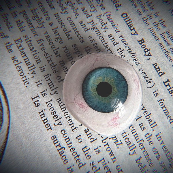 Vintage Prosthetic Eyeball | Acrylic Human Fake Eye Medical Oddity