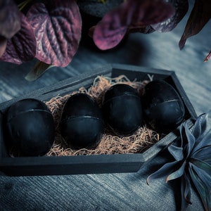 Oddity Mystery Eggs | Mystery Mini Natural Curiosities Handmade Gift | Small Wet Specimen Surprise Easter Egg