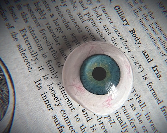 Vintage Augapfel Prothetik | Fake Auge aus Acryl