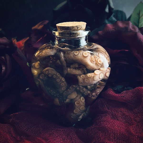 Bouteille en forme de coeur d'apothicaire tentacule de poulpe | Curiosités de taxidermie d'échantillons réels humides | Curiosité cadeau unique pour la Saint-Valentin