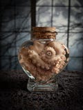 Mini Octopus Tentacle Wet Specimen Heart Bottle | Real Taxidermy | Valentine's Day Curiosity Jar