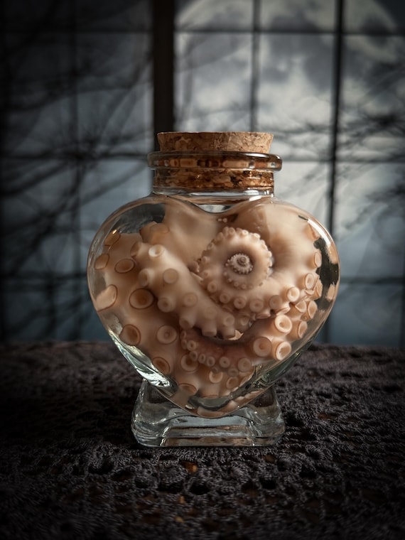 Mini Octopus Tentacle Wet Specimen Heart Bottle | Real Taxidermy | Valentine's Day Curiosity Jar