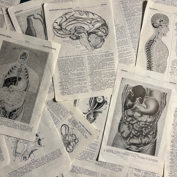 Vintage Medical Encyclopedia Dictionary Pages with Anatomy Illustrations - Oddity Decor or Scrapbooking Ephemera (10 Pcs)