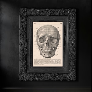 Vintage Human Skull Anatomy Poster Print | Haunted Attic Home Oddity Wall Art Decor