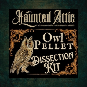 May include: A black sign featuring the words "Haunted Attic" in decorative script, advertising "Wet Specimens, Taxidermy, Upcycled Oddities & Curiosities." Below, it reads "Owl Pellet Dissection Kit," with an owl illustration on a branch.