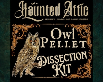 Uilpelletdissectieset | Giercultuur DIY-avontuur | Wetenschapsexperiment STEM | Idee voor een avondje uit | Spooky squad-activiteit