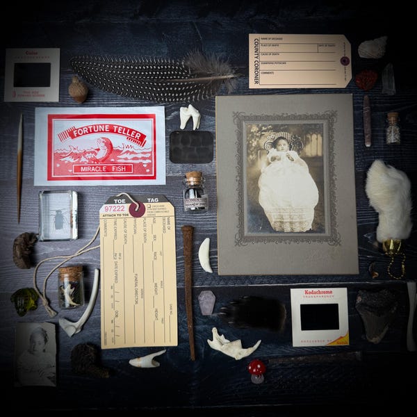 Curated Oddities Surprise Bags | Curiosity Collection Gift | Vulture Culture Grab Bag Stocking Stuffer