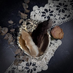 Peut inclure: Un plat argenté en forme de cœur avec des détails floraux contient deux queues d'animaux, une marron clair et une marron foncé. Une rose séchée et un napperon en dentelle sont également présents, créant une esthétique vintage.