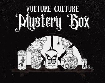 Vulture Culture Mystery Box — Custom Curated Oddities & Curiosities Gift