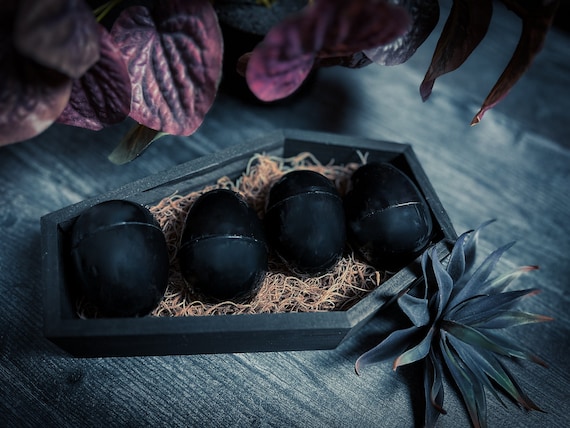 Mystery eggs packed with curated natural curiosities — bones, shells, shed skins — the thrill of unboxing meets cabinet-of-wonders energy.