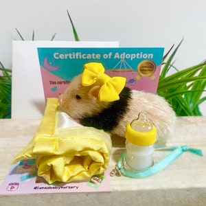 May include: A small, white and black hamster wearing a yellow bow, lying on a yellow blanket. The hamster is next to a small, clear bottle with a yellow lid and a blue ribbon. The background includes a card with the text "Certificate of Adoption" and the hashtag "#Lunasbabynursery".
