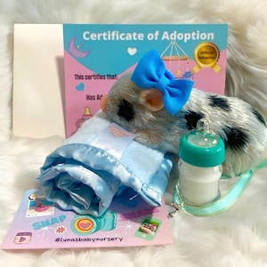 May include: A certificate of adoption for a small, black and white stuffed animal. The animal is lying on a blue blanket with a blue bow on its head. A small, clear bottle with a blue lid is next to the animal. The certificate reads "This certifies that: Has Adopted". The image also includes the text "SNAP #Lunasbabynursery".