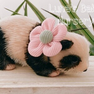 Puede incluir: Un pequeño oso de peluche panda blanco y negro con una diadema de flores rosa. El panda está acostado de lado con la cabeza apoyada en el suelo. El fondo es una superficie de madera clara.