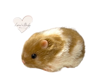 Caramel Silicone Syrian Hamster, Reborn Miniature Collectible Hamster