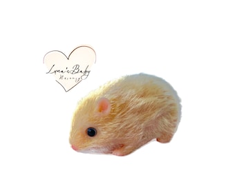 Teacup Silicon Hamster Adoption Gift Set, Silicone Hamster 4", Reborn Golden hair Hamster