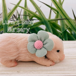 Vanilla Teacup Silicone Pig Adoption Gift Set, White Hair Reborn Pig