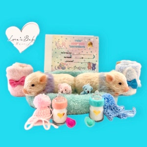 May include: Two plush baby mice with pink and blue booties, a blue and white blanket, and two baby bottles. The mice are lying on a blue and white fuzzy bed. The image also includes a certificate that says "Twin Adoption Certificate".