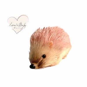 Silicone Hedgehog Adoption Gift Set, Sally The Hedgehog