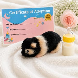 Puede incluir: Un cobaya de peluche con pelaje negro y beige, un biberón pequeño con tapa amarilla y líquido blanco, y una tarjeta rectangular de certificado de adopción con diseño azul y rosa que incluye ilustraciones de un móvil y biberones.