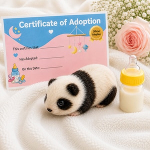 Set de regalo de adopción de panda de silicona, Panda renacido Qinling