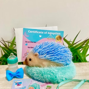 Silicone Hedgehog Adoption Gift Set, Sonic Hedgehog