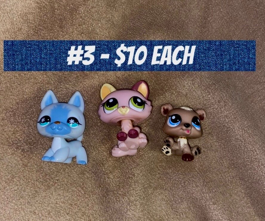 Deluxe Package Custom Littlest Pet Shop Keychain Etsy