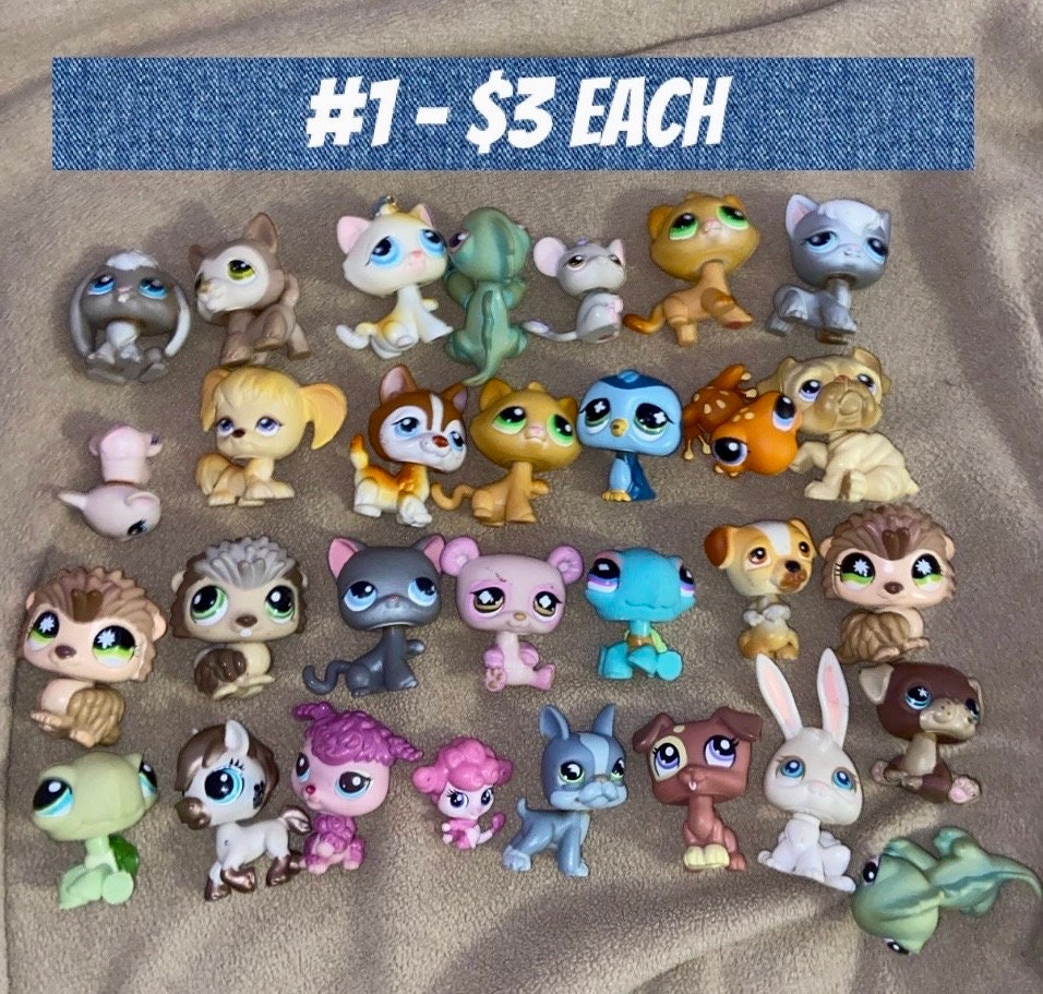 Deluxe Package Custom Littlest Pet Shop Keychain Etsy