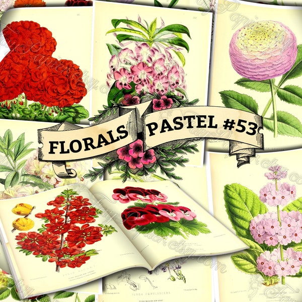 Florals Pastel #53 - set van 54 digitale vellen met botanische foto's in JPG afdrukbare 8,5x11 inch ephemera pack van bloemen plantenafdrukken