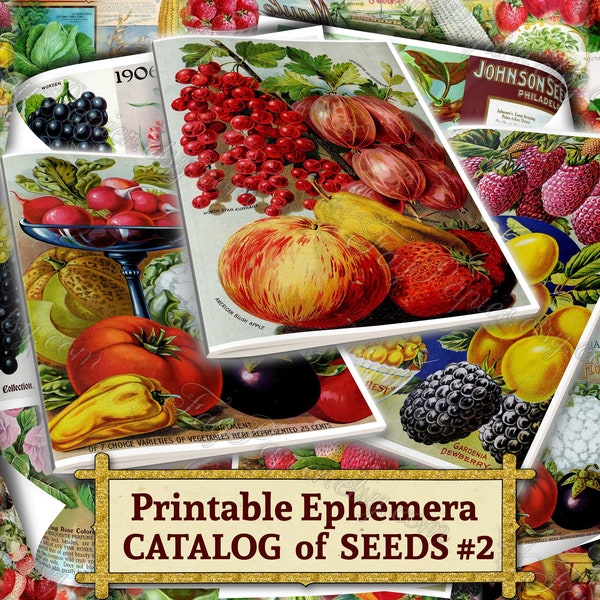 Printable Ephemera Catalog of Seeds #2 - set of 36 digital sheets with fruits pictures in JPG 8.5x11 inches pack for mixed media journal