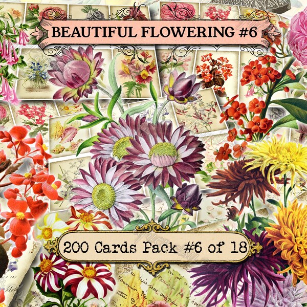 Beautiful Flowering #6 - 200 ATC Karten Vintage Design alte Illustrationen Blumen Blüten floral botanisch blühend Natur natürlich