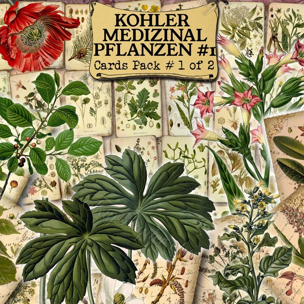 Kohler Medizinal Pflanzen #1 - set of 40 pictures on 400 cards with antique illustrations 300 dpi 1800s xix victorian medical medicinal