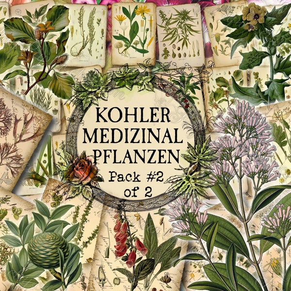 Kohler Medizinal Pflanzen #2 - set of 40 pictures on 450 cards with antique illustrations junk picture print ancient medicinal medical