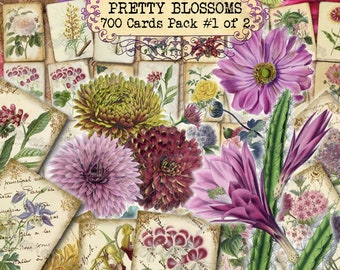 Pretty Blossoms #1 - set of 40 pictures on 700 cards in JPG with antique illustrations instant digital download insert for botanical journal