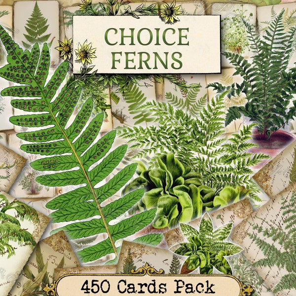 Choice Ferns - set of 40 pictures on 450 cards in JPG with antique illustrations instant digital download for commercial use botanical