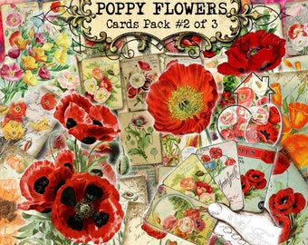 Poppy Flowers #2 - set of 40 pictures on 360 cards in JPG format with antique illustrations vintage image flowers journal for commercial use